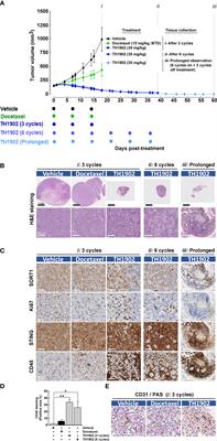 Sudocetaxel Zendusortide (TH1902) triggers the cGAS/STING pathway and potentiates anti-PD-L1 immune-mediated tumor cell killing